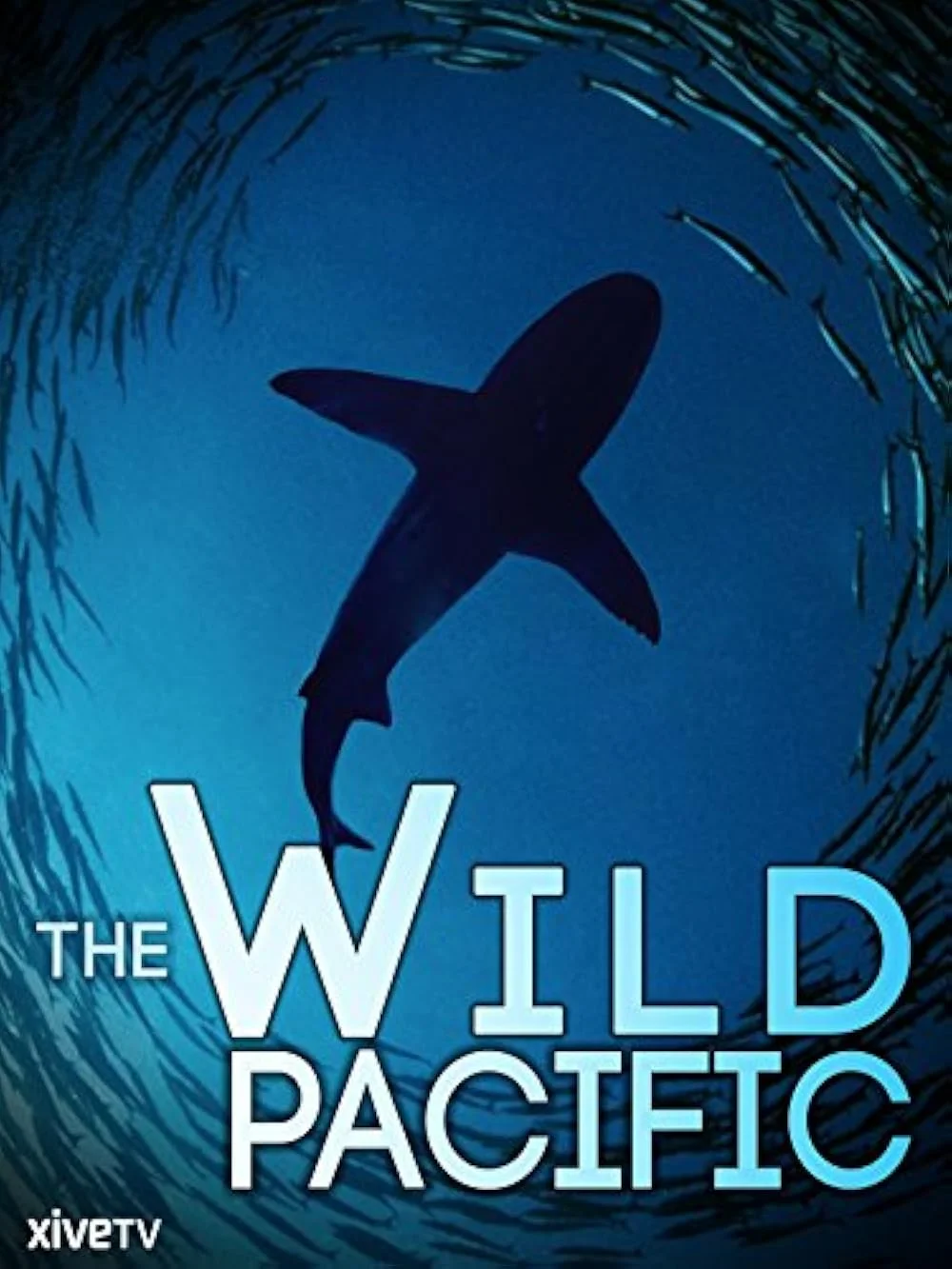 The Wild Pacific 4K 2016