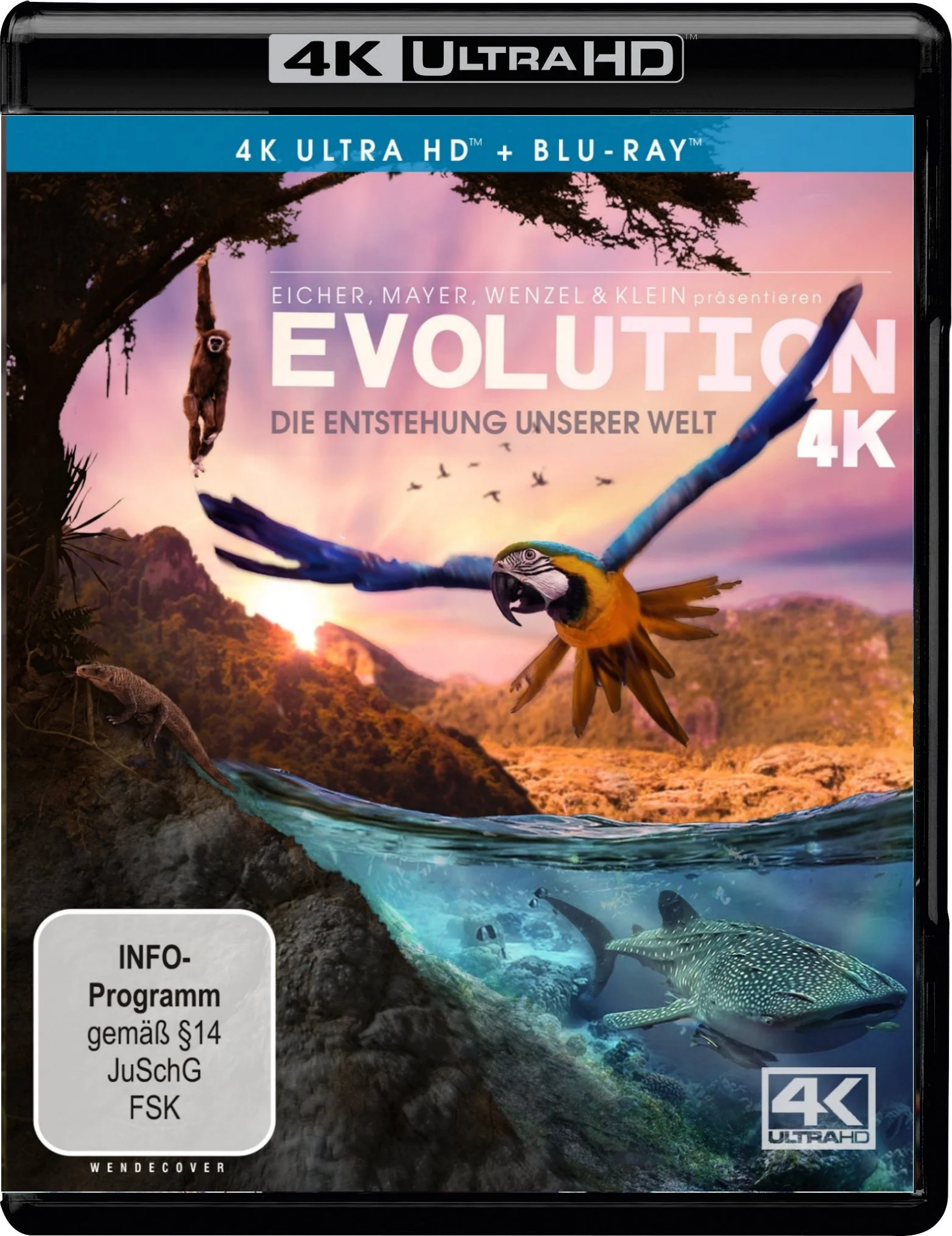 Evolution 4K 4K 2018