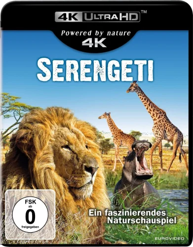 Serengeti 4K 2011