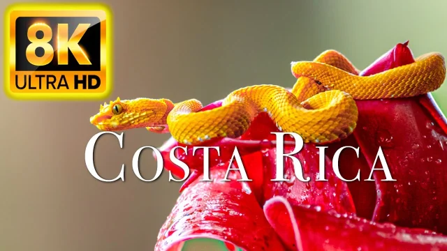 COSTA RICA IN 8K ULTRA HD 60FPS HDR main poster