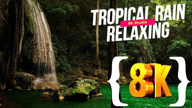 8k video TROPICAL RAIN Sounds Relaxing Nature Video 60 Fps ULTRA HDR main poster